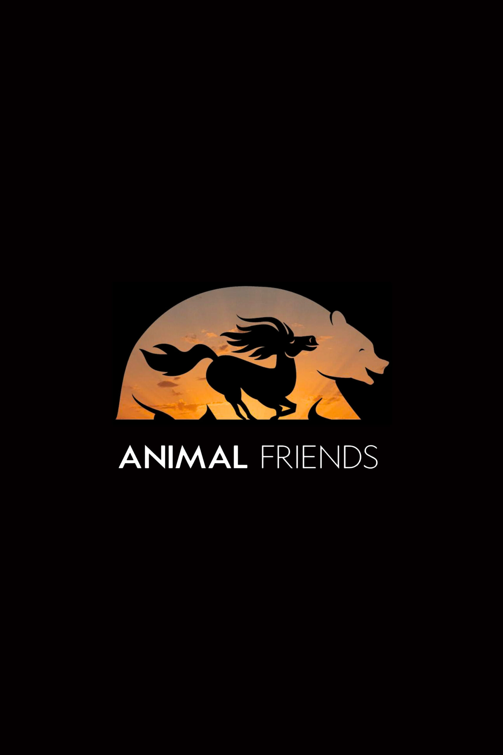 Poster for the movie "Animal Friends"